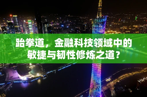 跆拳道，金融科技领域中的敏捷与韧性修炼之道？
