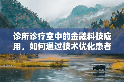 诊所诊疗室中的金融科技应用，如何通过技术优化患者支付体验？