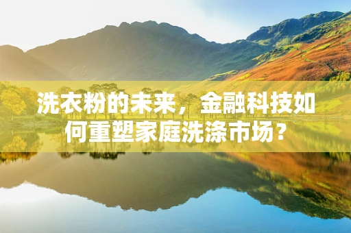 洗衣粉的未来，金融科技如何重塑家庭洗涤市场？