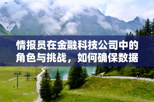 情报员在金融科技公司中的角色与挑战，如何确保数据安全与高效决策？