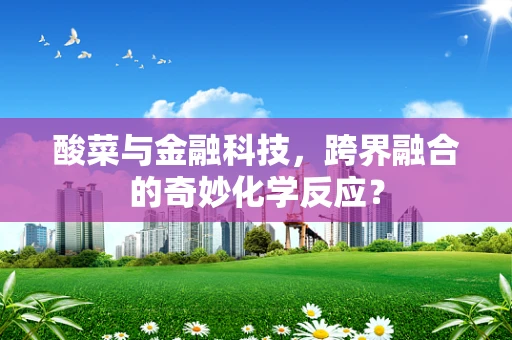 酸菜与金融科技，跨界融合的奇妙化学反应？