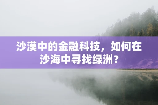 沙漠中的金融科技，如何在沙海中寻找绿洲？