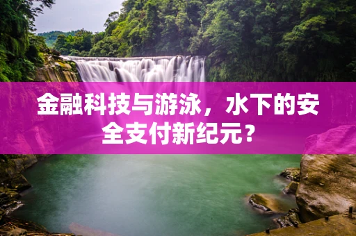 金融科技与游泳，水下的安全支付新纪元？