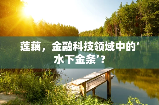 莲藕，金融科技领域中的‘水下金条’？