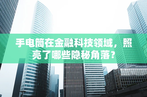 手电筒在金融科技领域，照亮了哪些隐秘角落？