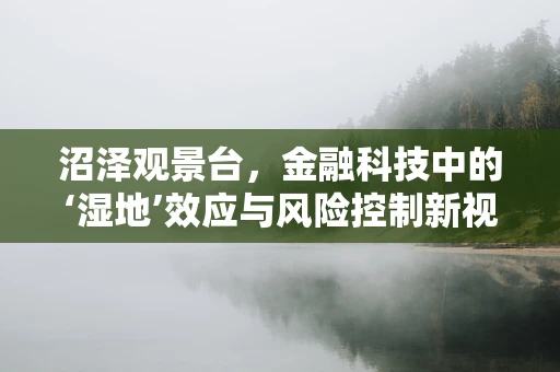 沼泽观景台，金融科技中的‘湿地’效应与风险控制新视角？