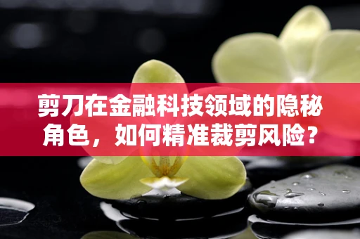 剪刀在金融科技领域的隐秘角色，如何精准裁剪风险？