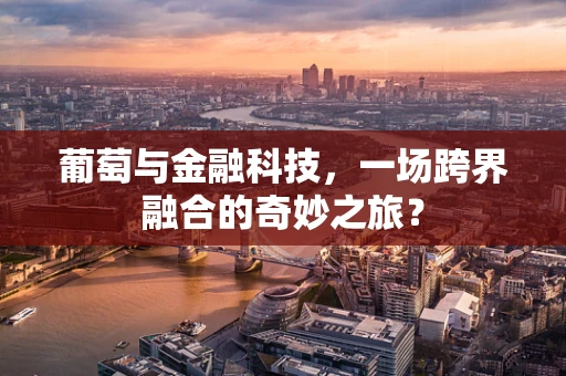 葡萄与金融科技，一场跨界融合的奇妙之旅？