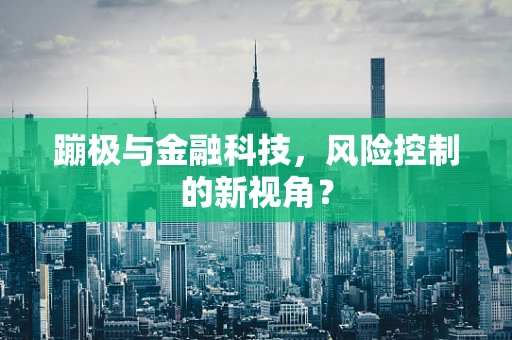 蹦极与金融科技，风险控制的新视角？