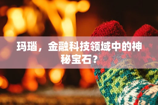 玛瑙，金融科技领域中的神秘宝石？