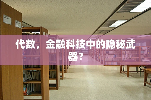 代数，金融科技中的隐秘武器？
