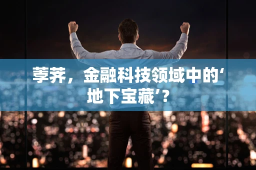 荸荠，金融科技领域中的‘地下宝藏’？