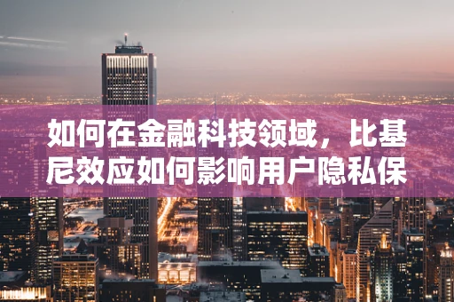如何在金融科技领域，比基尼效应如何影响用户隐私保护？