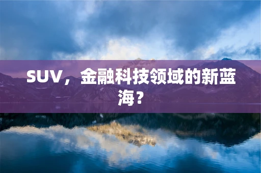 SUV，金融科技领域的新蓝海？
