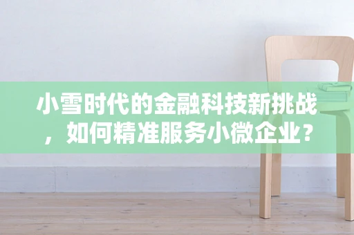 小雪时代的金融科技新挑战，如何精准服务小微企业？