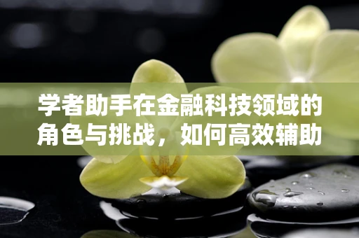 学者助手在金融科技领域的角色与挑战，如何高效辅助决策？