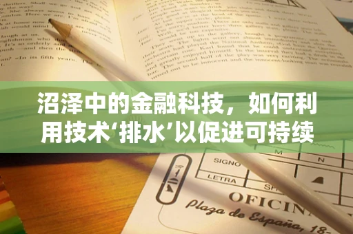 沼泽中的金融科技，如何利用技术‘排水’以促进可持续发展？
