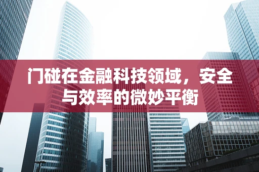 门碰在金融科技领域，安全与效率的微妙平衡