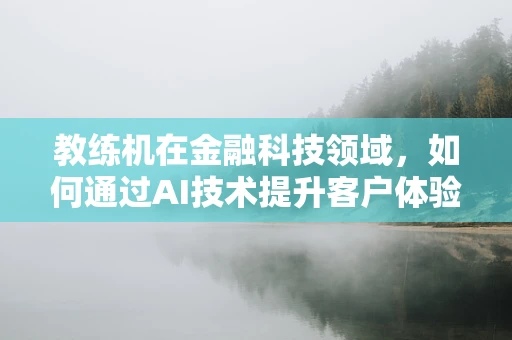 教练机在金融科技领域，如何通过AI技术提升客户体验？