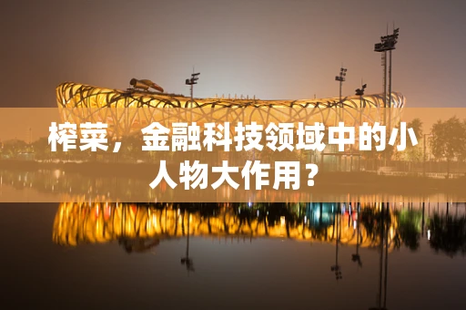 榨菜，金融科技领域中的小人物大作用？