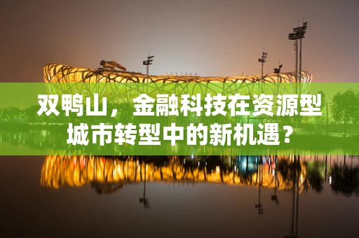 双鸭山，金融科技在资源型城市转型中的新机遇？