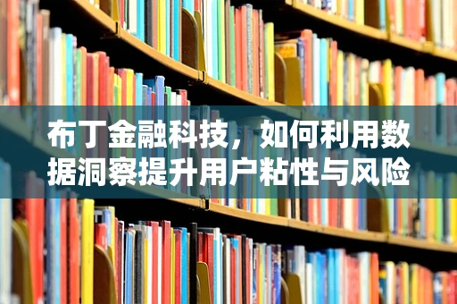布丁金融科技，如何利用数据洞察提升用户粘性与风险管理？
