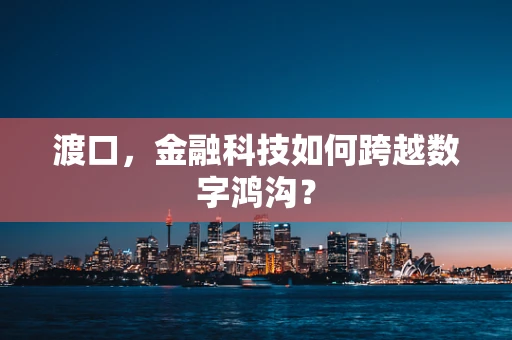 渡口，金融科技如何跨越数字鸿沟？