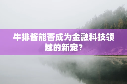 牛排酱能否成为金融科技领域的新宠？