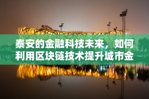 泰安的金融科技未来，如何利用区块链技术提升城市金融服务？