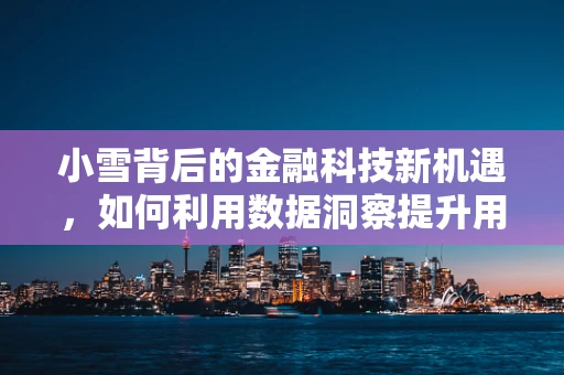 小雪背后的金融科技新机遇，如何利用数据洞察提升用户服务体验？
