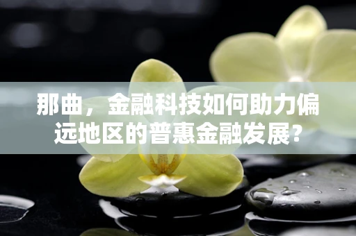 那曲，金融科技如何助力偏远地区的普惠金融发展？