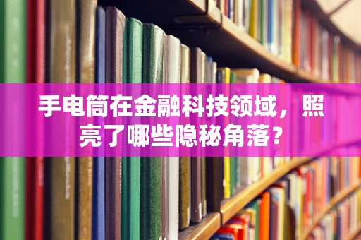 手电筒在金融科技领域，照亮了哪些隐秘角落？