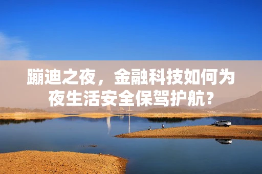 蹦迪之夜，金融科技如何为夜生活安全保驾护航？