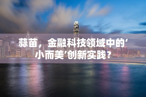 蒜苗，金融科技领域中的‘小而美’创新实践？