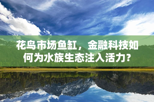 花鸟市场鱼缸，金融科技如何为水族生态注入活力？