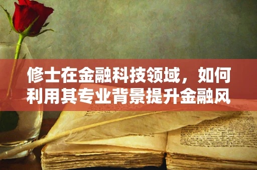 修士在金融科技领域，如何利用其专业背景提升金融风险管理？