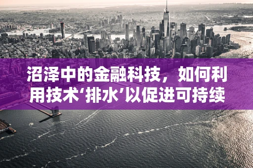 沼泽中的金融科技，如何利用技术‘排水’以促进可持续发展？