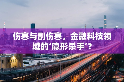 伤寒与副伤寒，金融科技领域的‘隐形杀手’？
