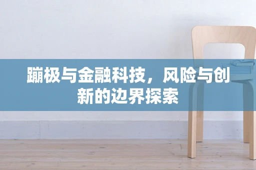 蹦极与金融科技，风险与创新的边界探索