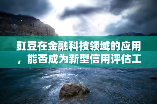 豇豆在金融科技领域的应用，能否成为新型信用评估工具？