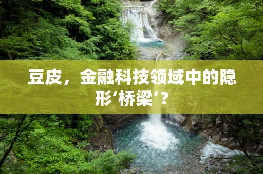 豆皮，金融科技领域中的隐形‘桥梁’？