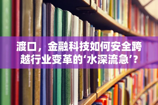 渡口，金融科技如何安全跨越行业变革的‘水深流急’？