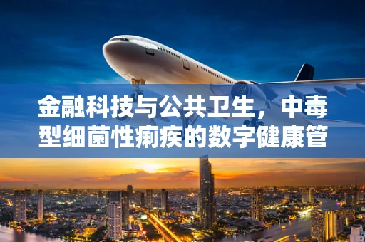 金融科技与公共卫生，中毒型细菌性痢疾的数字健康管理挑战
