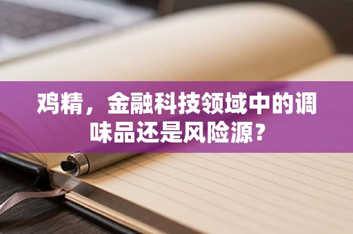 鸡精，金融科技领域中的调味品还是风险源？