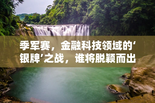 季军赛，金融科技领域的‘银牌’之战，谁将脱颖而出？