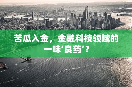 苦瓜入金，金融科技领域的一味‘良药’？