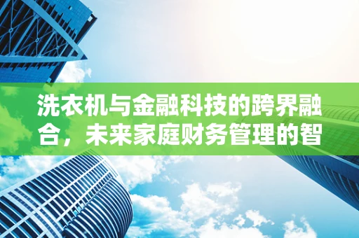 洗衣机与金融科技的跨界融合，未来家庭财务管理的智能新篇章？
