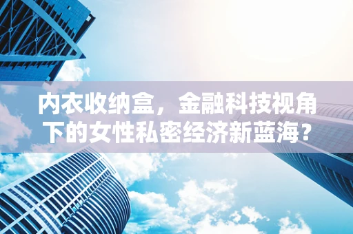 内衣收纳盒，金融科技视角下的女性私密经济新蓝海？