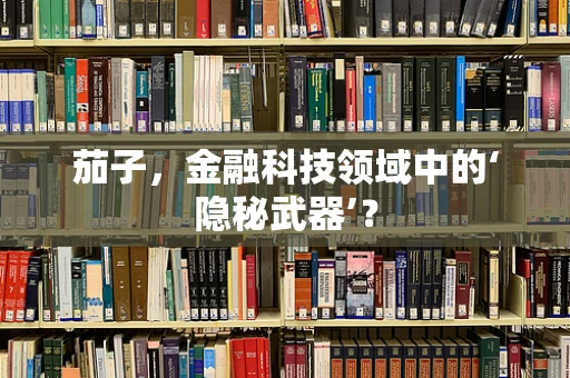 茄子，金融科技领域中的‘隐秘武器’？