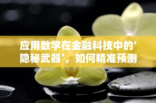 应用数学在金融科技中的‘隐秘武器’，如何精准预测市场趋势？
